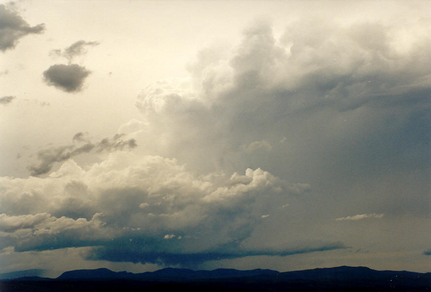 inflowband thunderstorm_inflow_band : McLeans Ridges, NSW   30 January 2004