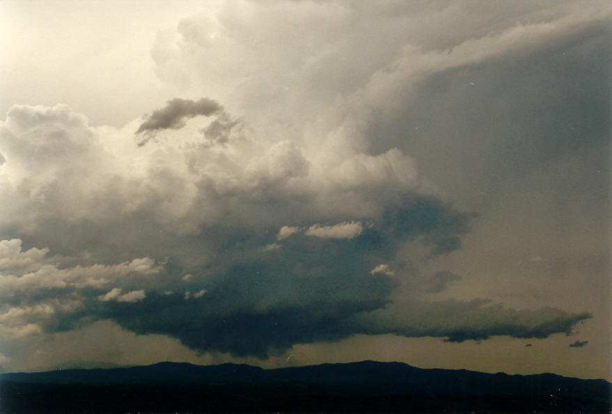 inflowband thunderstorm_inflow_band : McLeans Ridges, NSW   30 January 2004