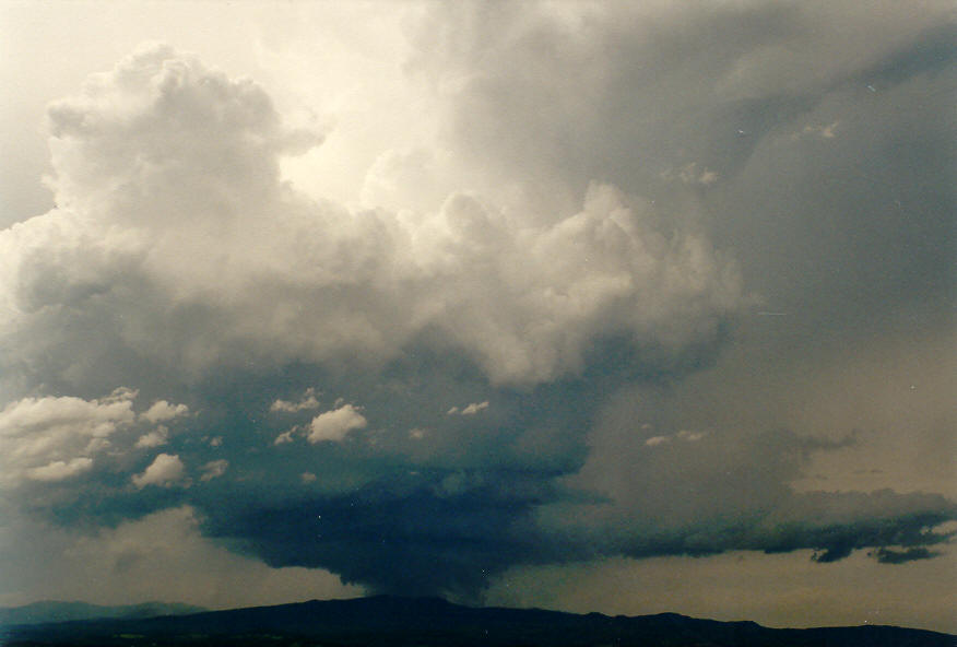 wallcloud thunderstorm_wall_cloud : McLeans Ridges, NSW   30 January 2004