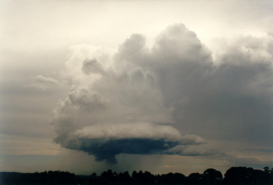 updraft thunderstorm_updrafts : McLeans Ridges, NSW   30 January 2004