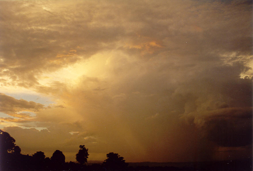 raincascade precipitation_cascade : McLeans Ridges, NSW   19 February 2004