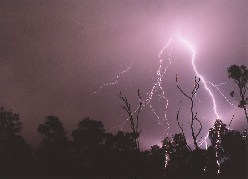 contributions received : Beerwah, QLD<BR>Photo by Tom Reissmann   1 March 2004