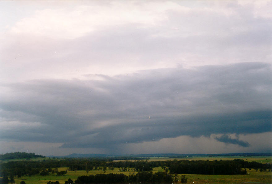 shelfcloud shelf_cloud : Parrots Nest, NSW   13 March 2004