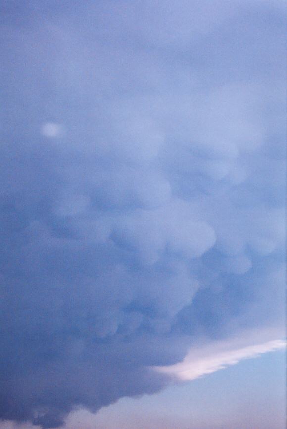 mammatus mammatus_cloud : NW of Sioux City, South Dakota, USA   9 May 2004