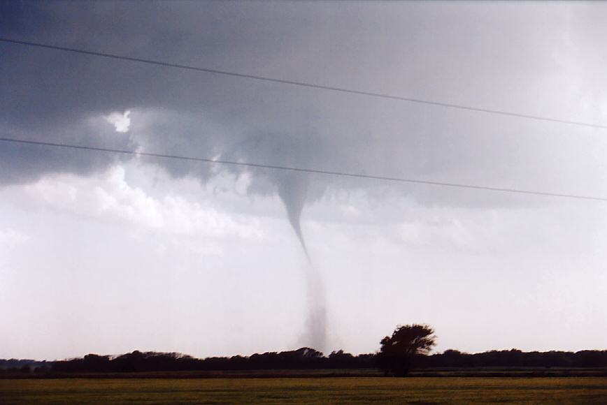 cumulonimbus supercell_thunderstorm : Sharon, Kansas, USA   12 May 2004