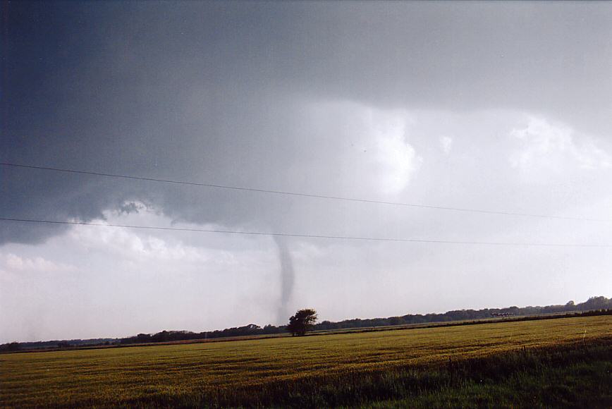 cumulonimbus supercell_thunderstorm : Sharon, Kansas, USA   12 May 2004