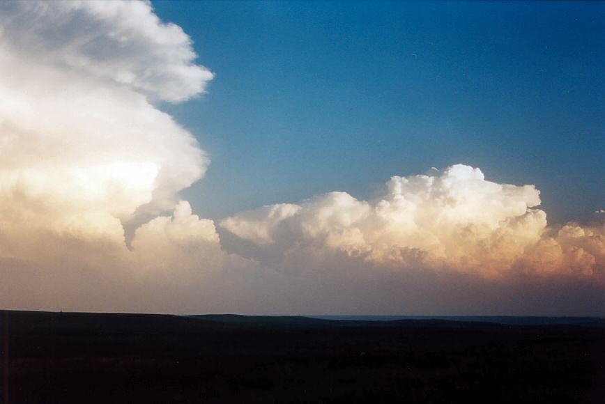 thunderstorm cumulonimbus_incus : NW of Topeka, Kansas, USA   24 May 2004