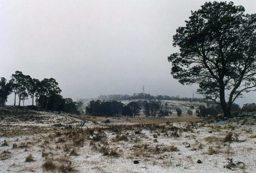 snow snow_pictures : Guyra, NSW   20 June 2004