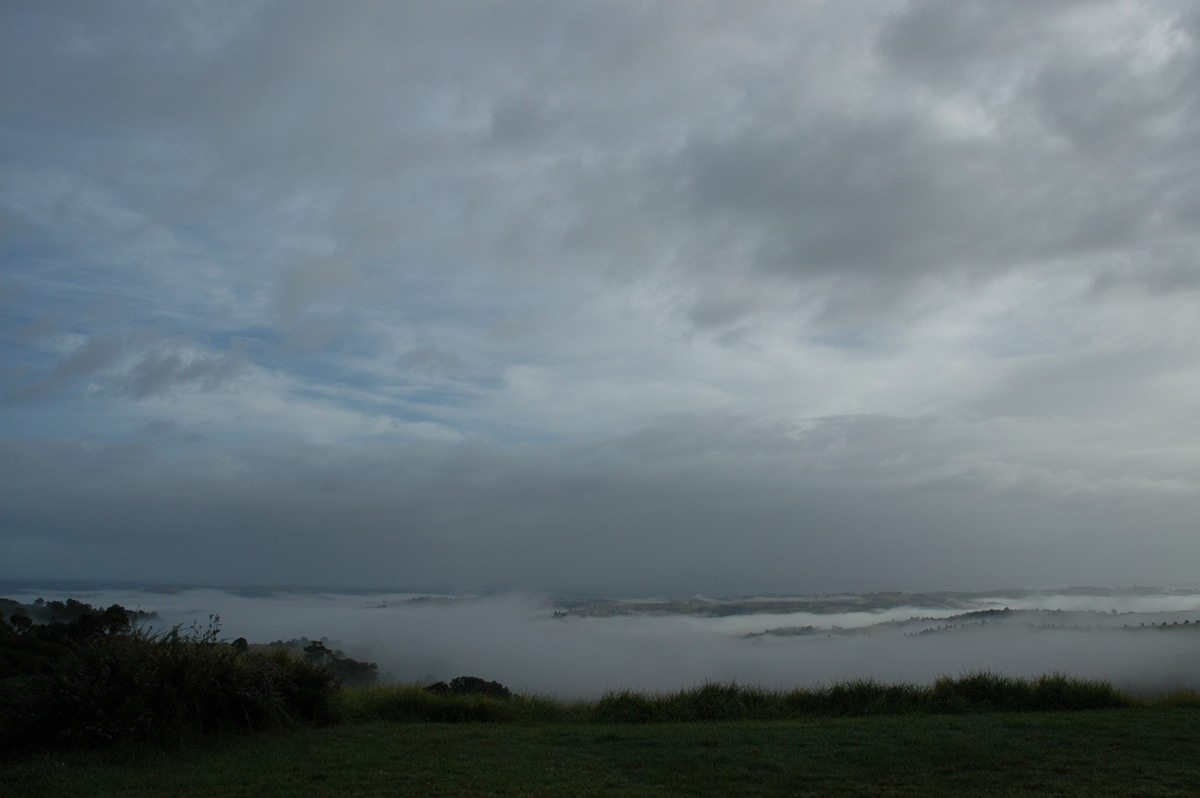 fogmist fog_mist_frost : McLeans Ridges, NSW   11 July 2004