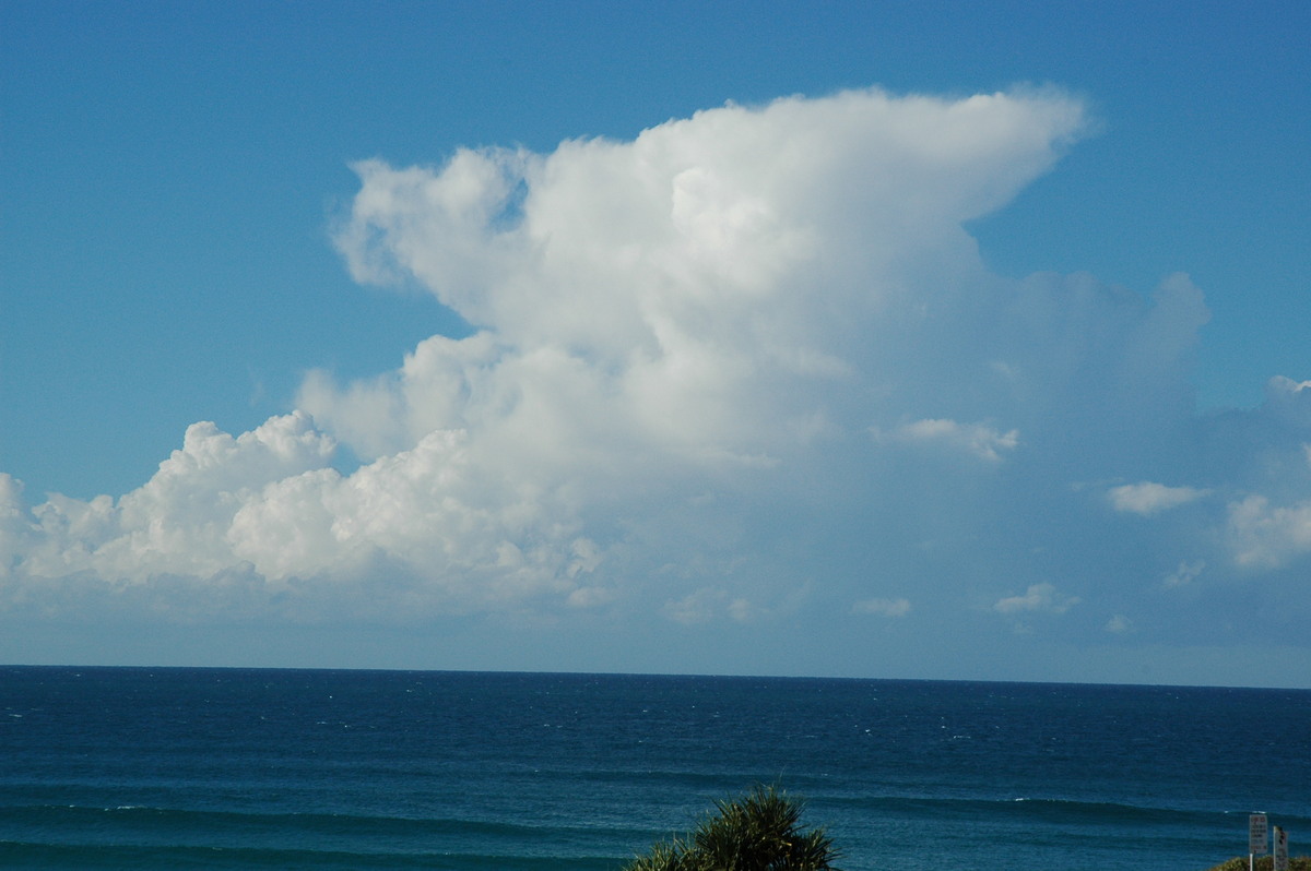 thunderstorm cumulonimbus_calvus : Cabarita, NSW   15 July 2004