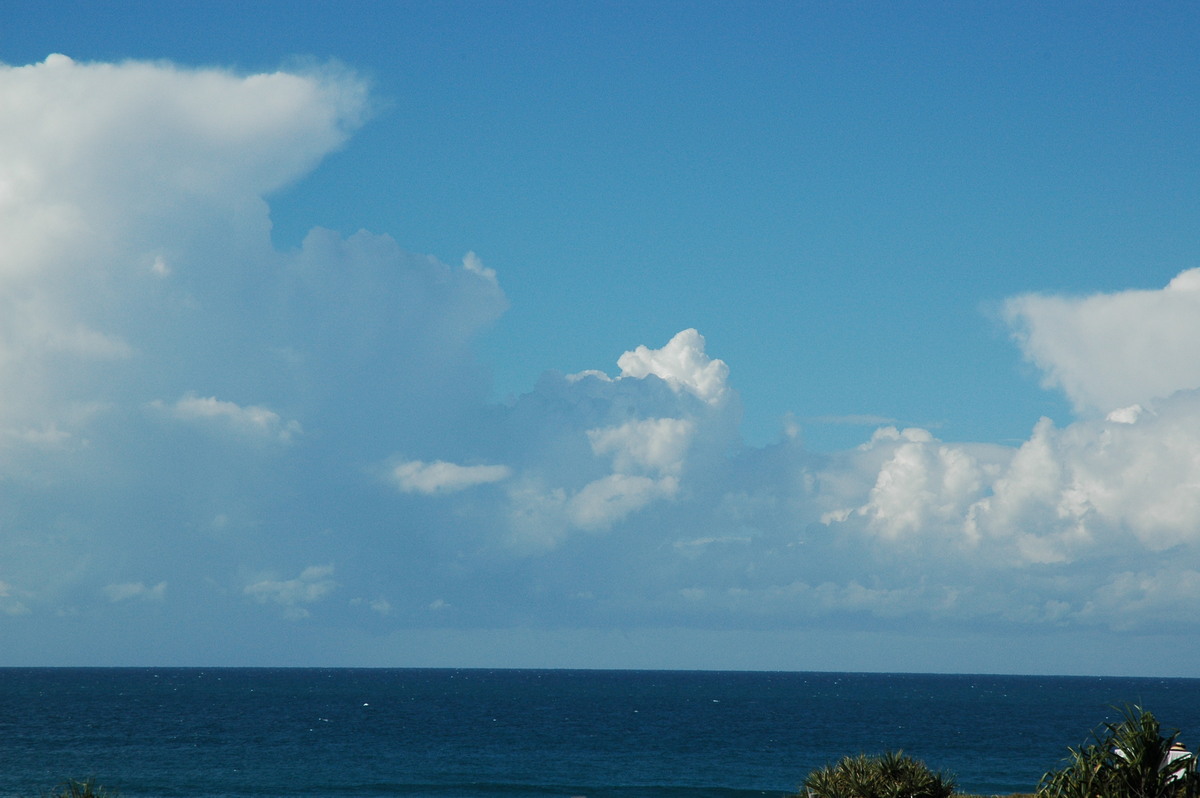 thunderstorm cumulonimbus_calvus : Cabarita, NSW   15 July 2004