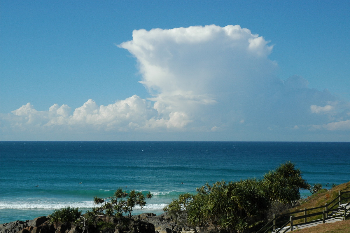 thunderstorm cumulonimbus_calvus : Cabarita, NSW   15 July 2004