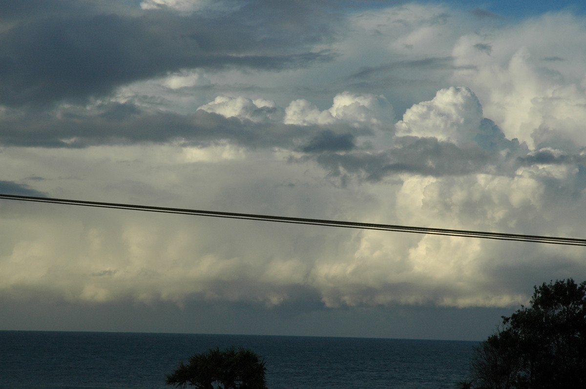 thunderstorm cumulonimbus_calvus : Cabarita, NSW   15 July 2004