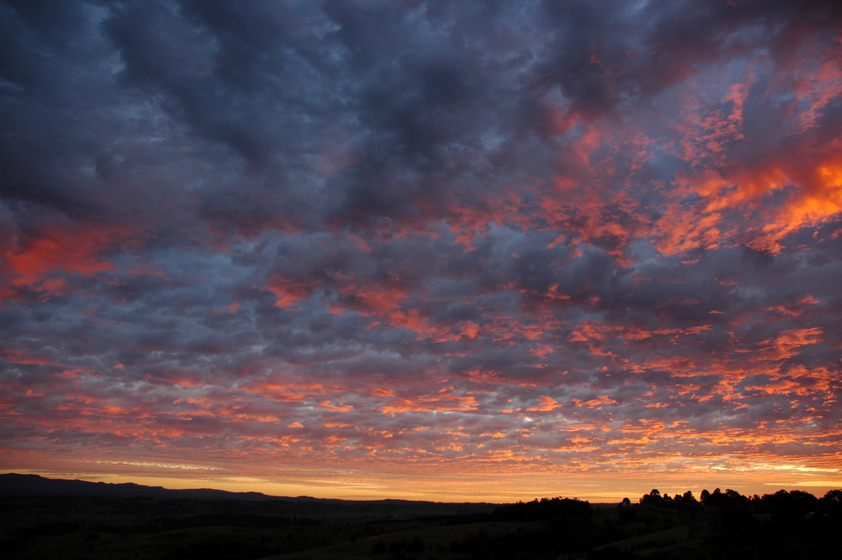 sunrise sunrise_pictures : McLeans Ridges, NSW   26 July 2004