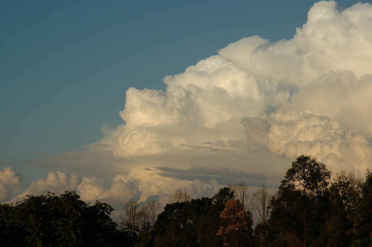 thunderstorm cumulonimbus_calvus : McLeans Ridges, NSW   29 July 2004