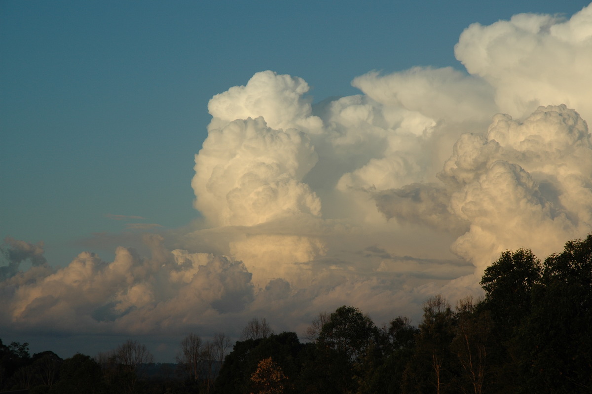 updraft thunderstorm_updrafts : McLeans Ridges, NSW   29 July 2004