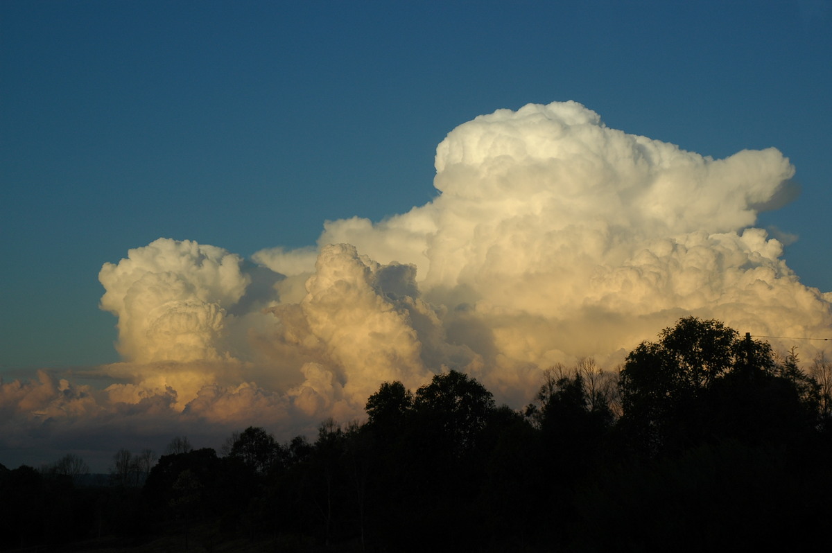 thunderstorm cumulonimbus_calvus : McLeans Ridges, NSW   29 July 2004