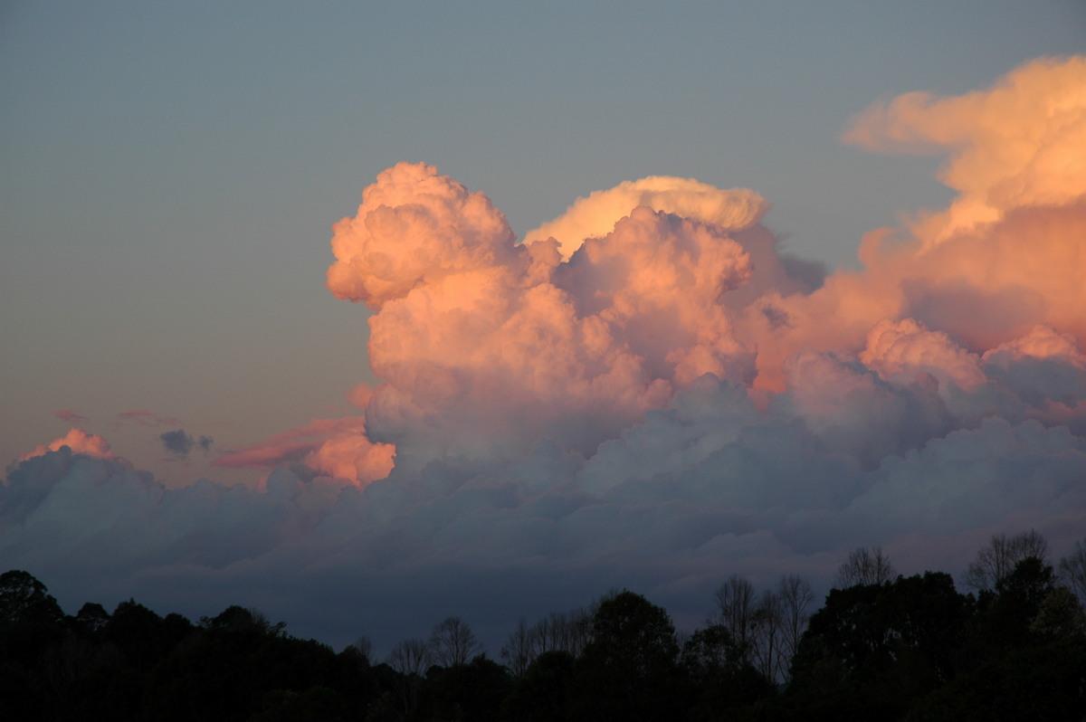 thunderstorm cumulonimbus_calvus : McLeans Ridges, NSW   29 July 2004