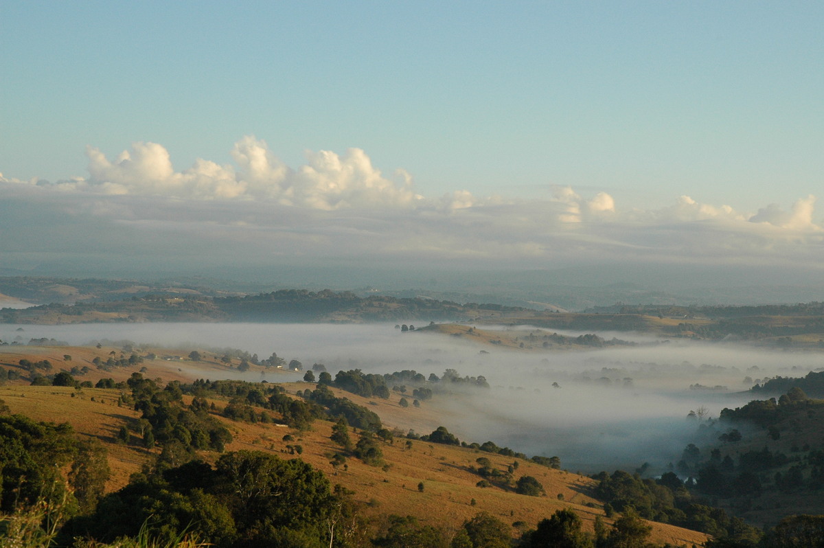 cumulus mediocris : McLeans Ridges, NSW   30 July 2004