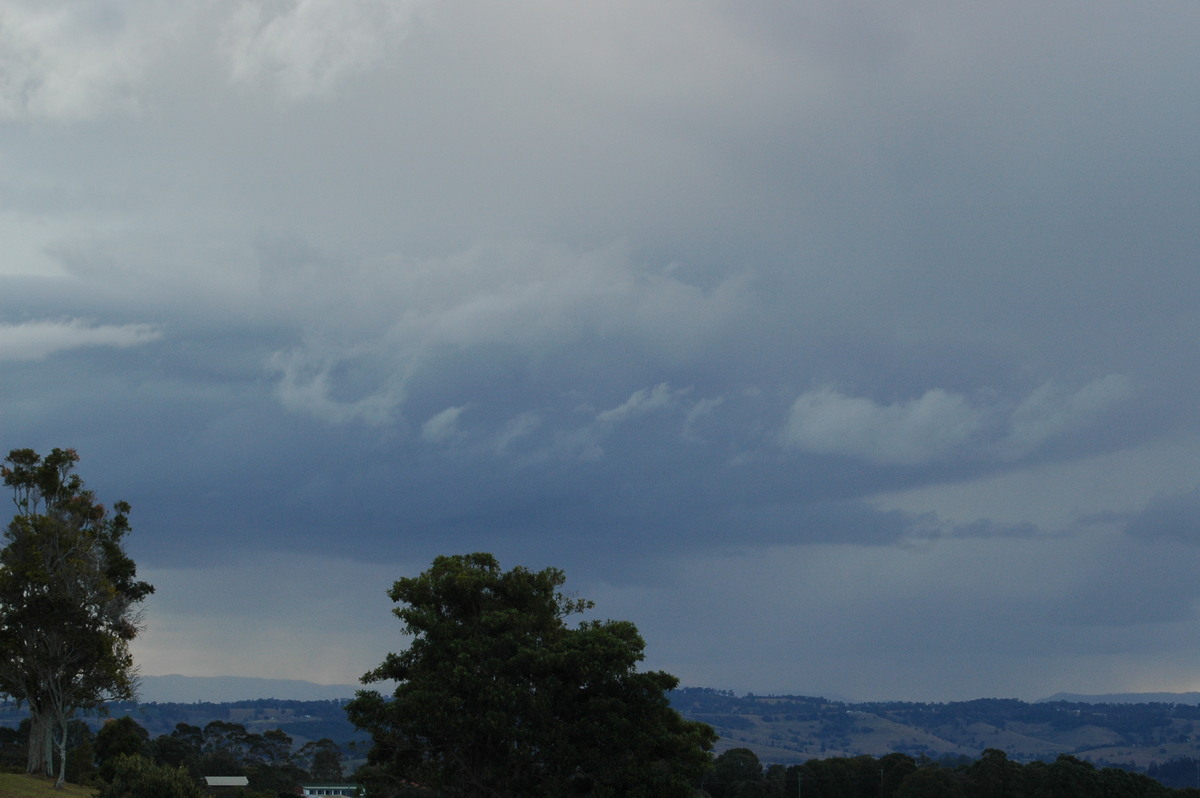 cumulonimbus thunderstorm_base : McLeans Ridges, NSW   17 August 2004