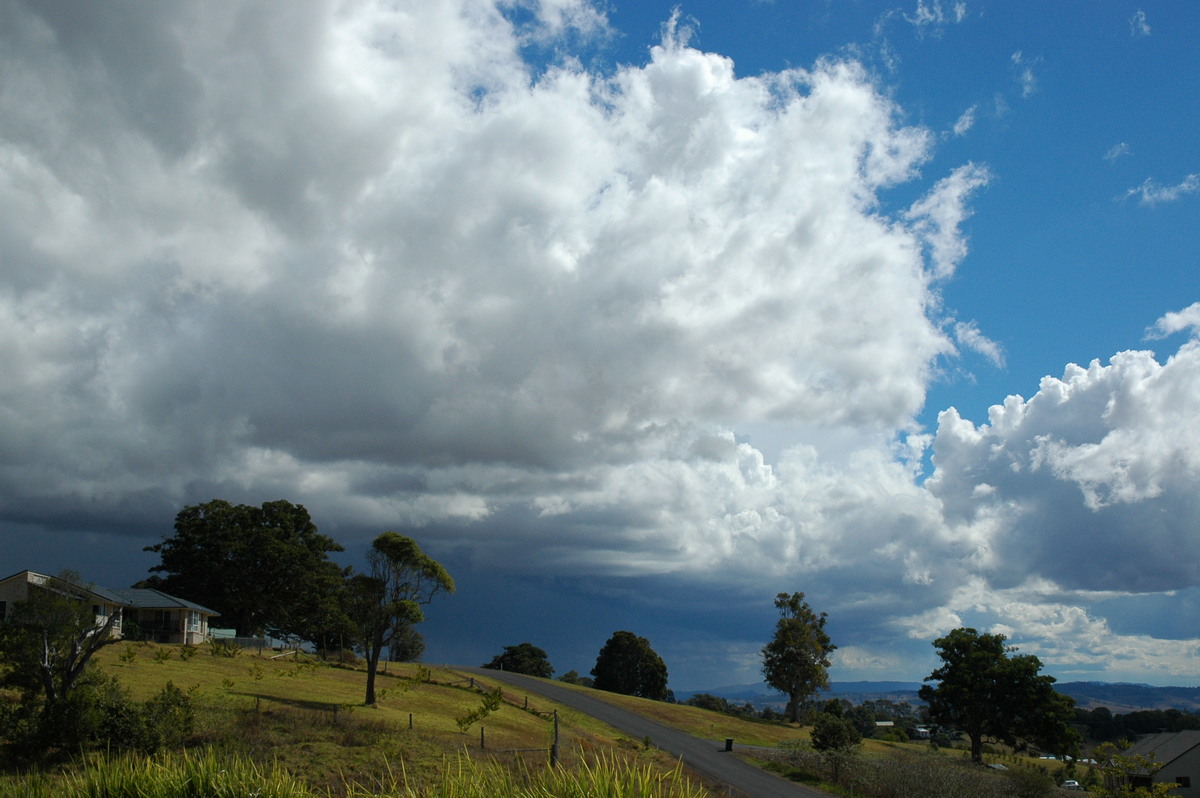 thunderstorm cumulonimbus_calvus : McLeans Ridges, NSW   18 August 2004