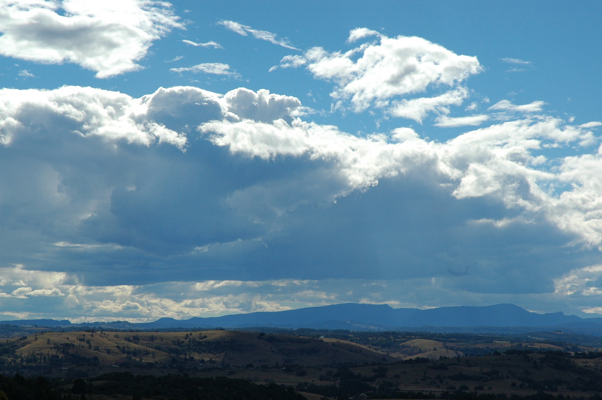 cumulus congestus : McLeans Ridges, NSW   18 August 2004