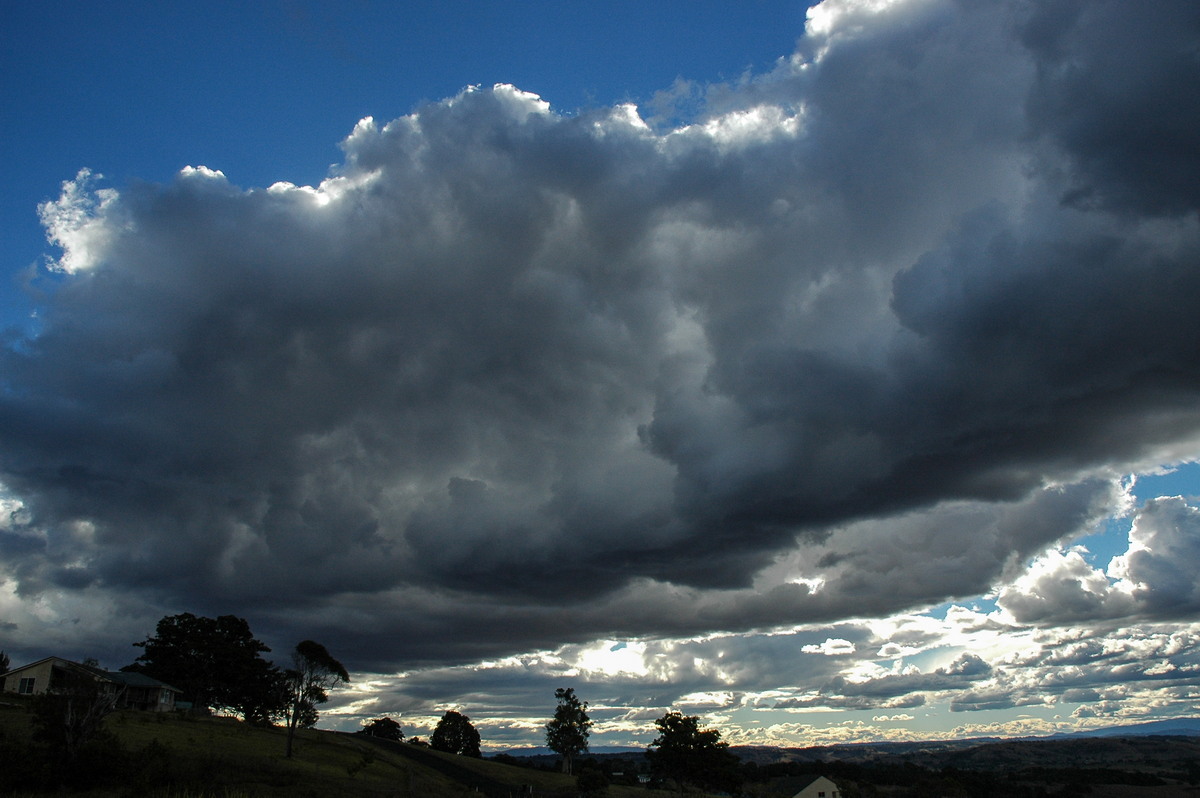 cumulus congestus : McLeans Ridges, NSW   18 August 2004