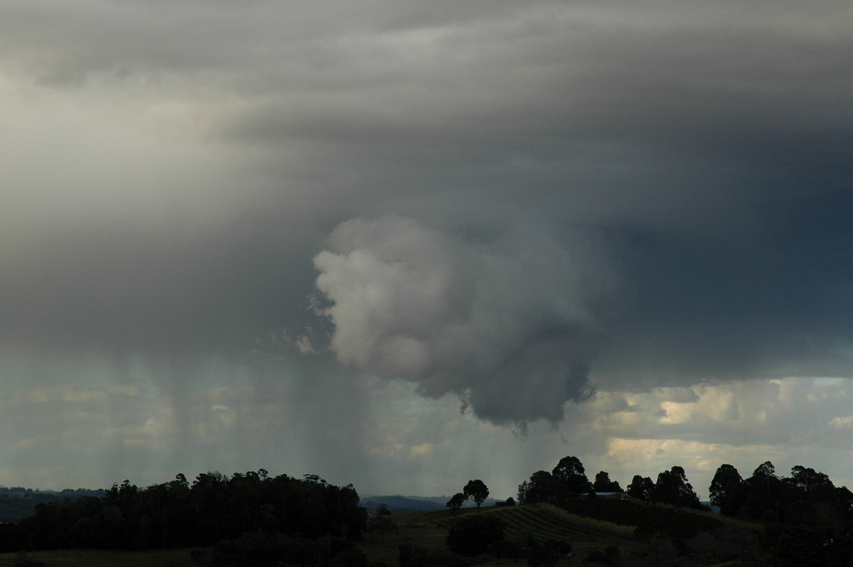 raincascade precipitation_cascade : McLeans Ridges, NSW   18 August 2004