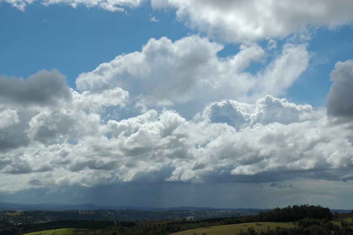 thunderstorm cumulonimbus_calvus : McLeans Ridges, NSW   4 September 2004