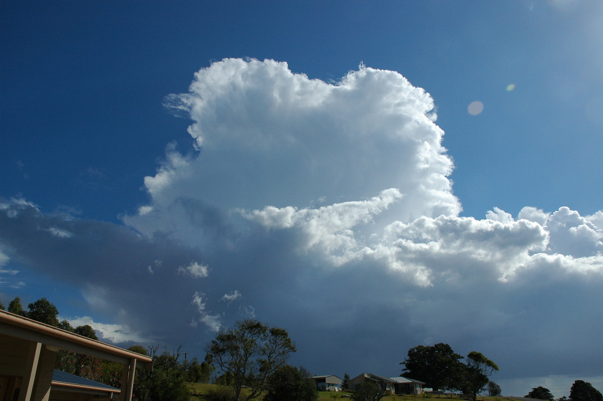 thunderstorm cumulonimbus_calvus : McLeans Ridges, NSW   4 September 2004