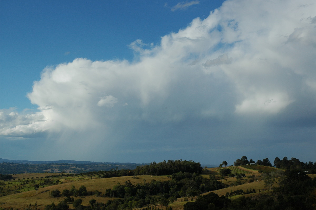 cumulus congestus : McLeans Ridges, NSW   4 September 2004