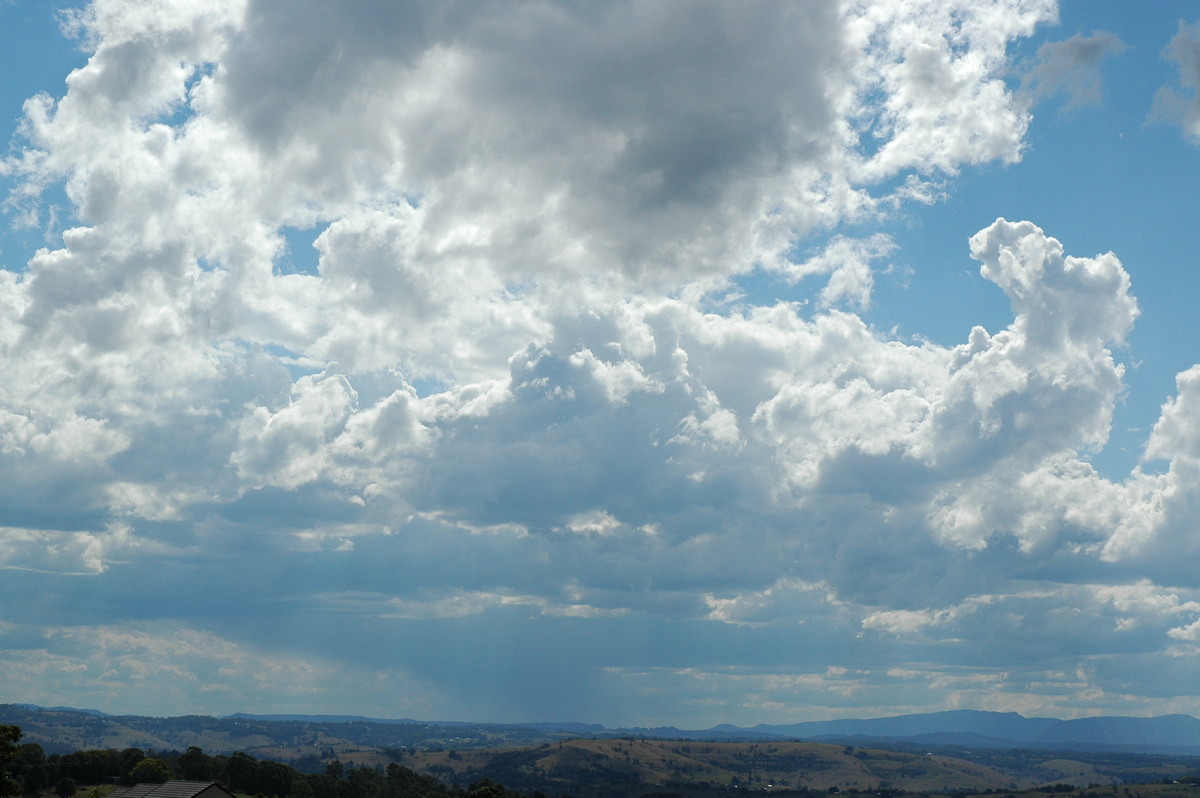 cumulus congestus : McLeans Ridges, NSW   5 September 2004