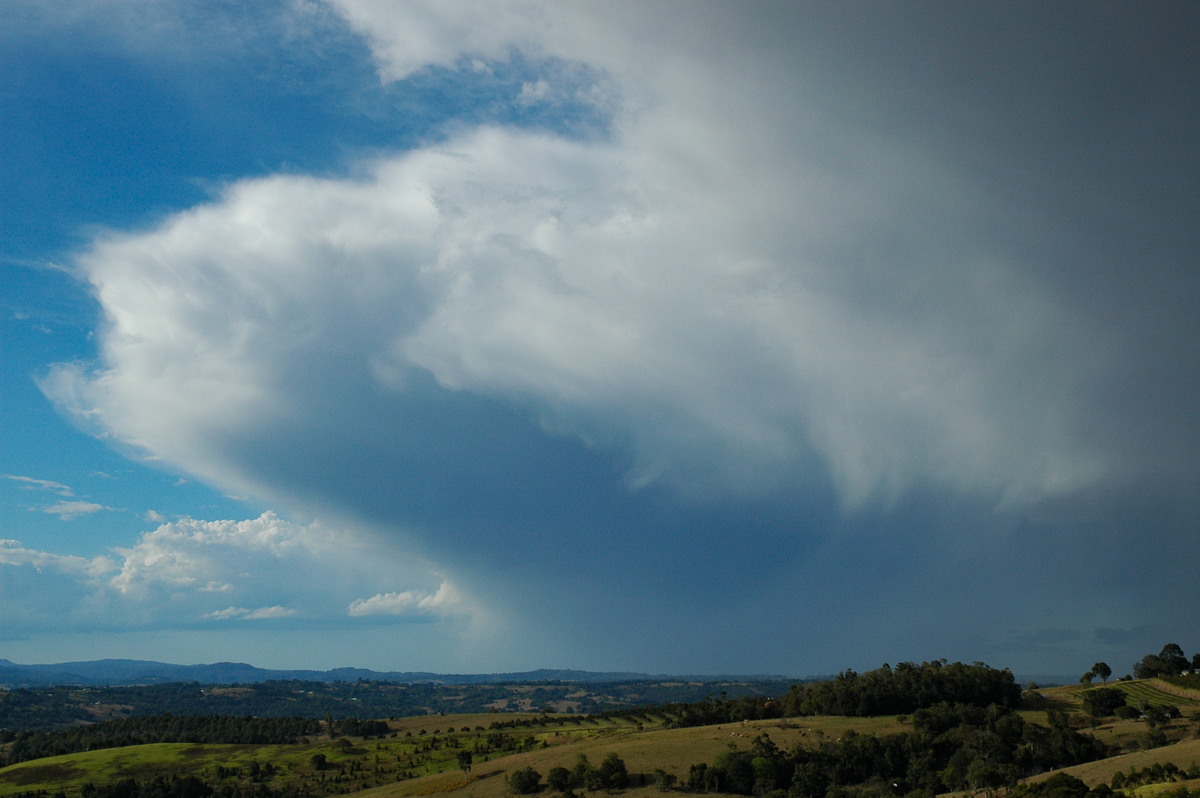 anvil thunderstorm_anvils : McLeans Ridges, NSW   5 September 2004