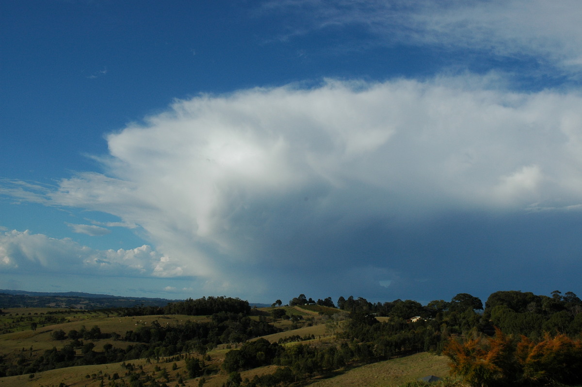 thunderstorm cumulonimbus_incus : McLeans Ridges, NSW   5 September 2004