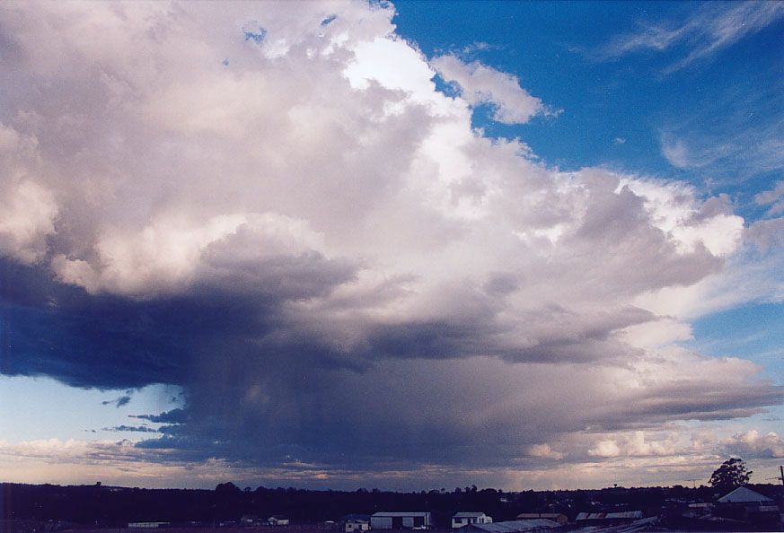 thunderstorm cumulonimbus_incus : Schofields, NSW   9 September 2004