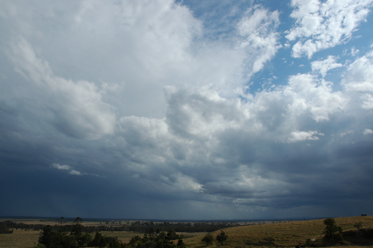 thunderstorm cumulonimbus_incus : Parrots Nest, NSW   20 September 2004