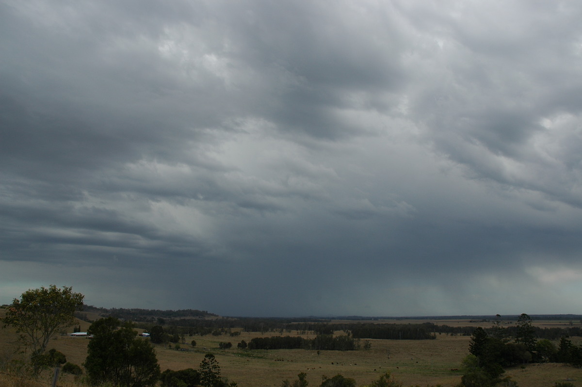 raincascade precipitation_cascade : Parrots Nest, NSW   20 September 2004