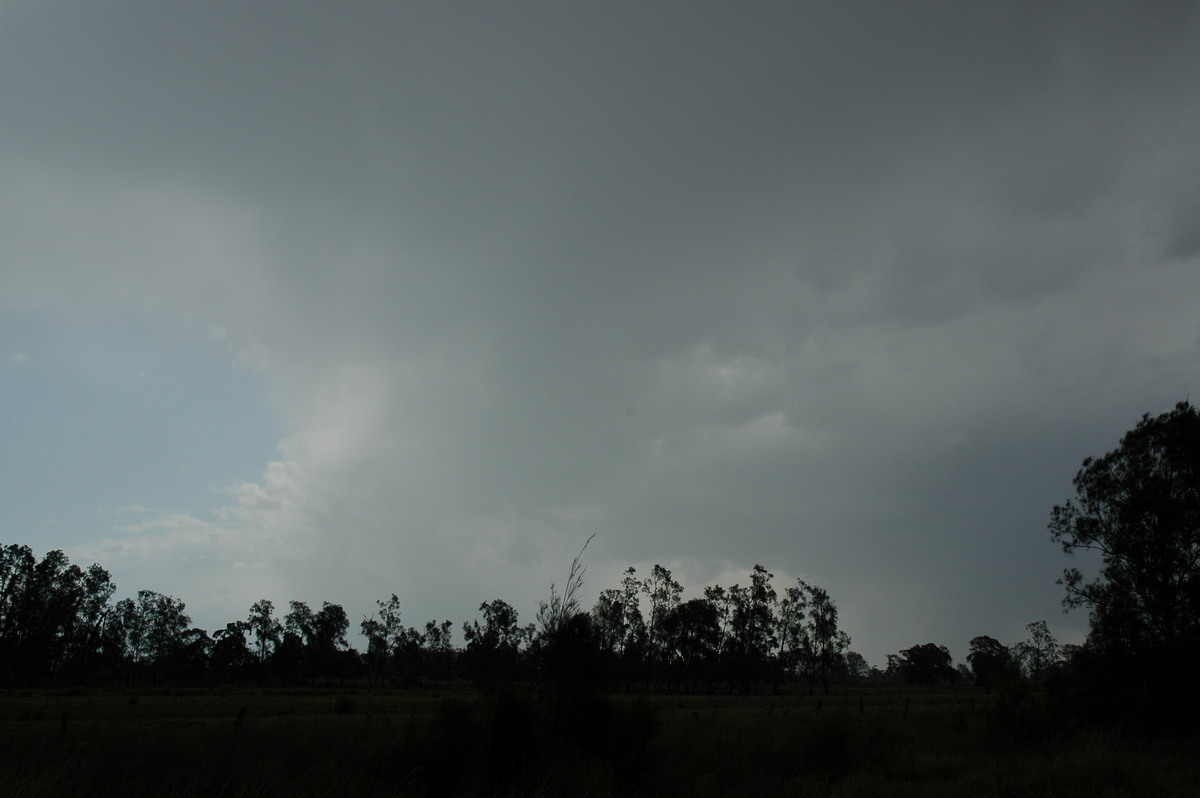 raincascade precipitation_cascade : Parrots Nest, NSW   20 September 2004