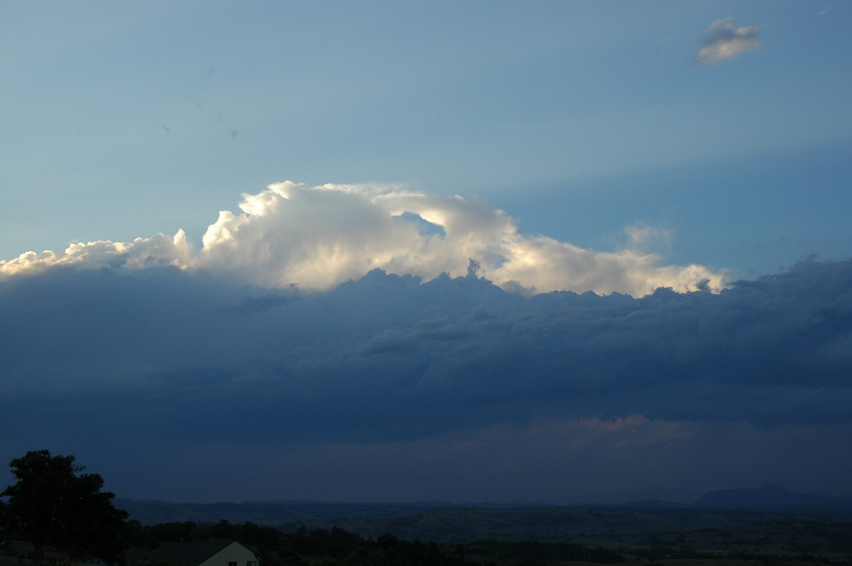 cumulus congestus : McLeans Ridges, NSW   1 October 2004