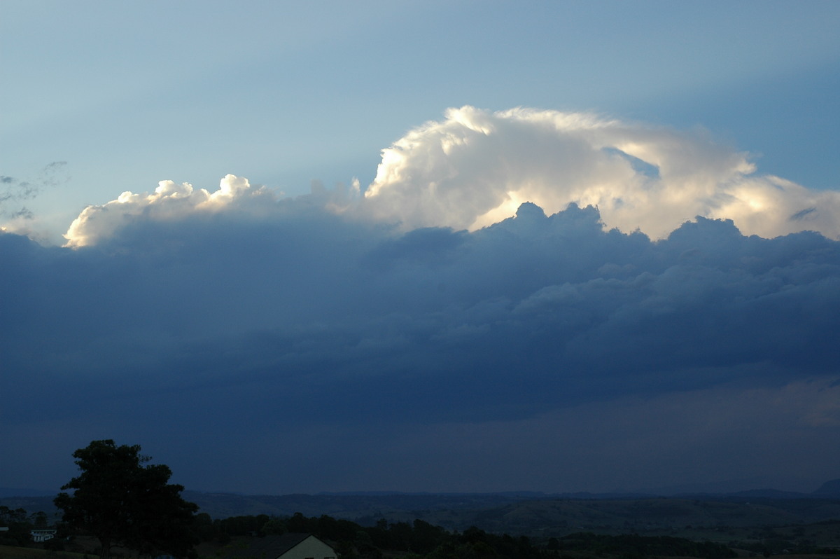 cumulus congestus : McLeans Ridges, NSW   1 October 2004