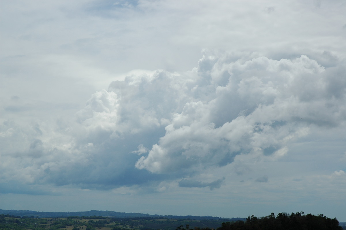 cumulus congestus : McLeans Ridges, NSW   21 October 2004