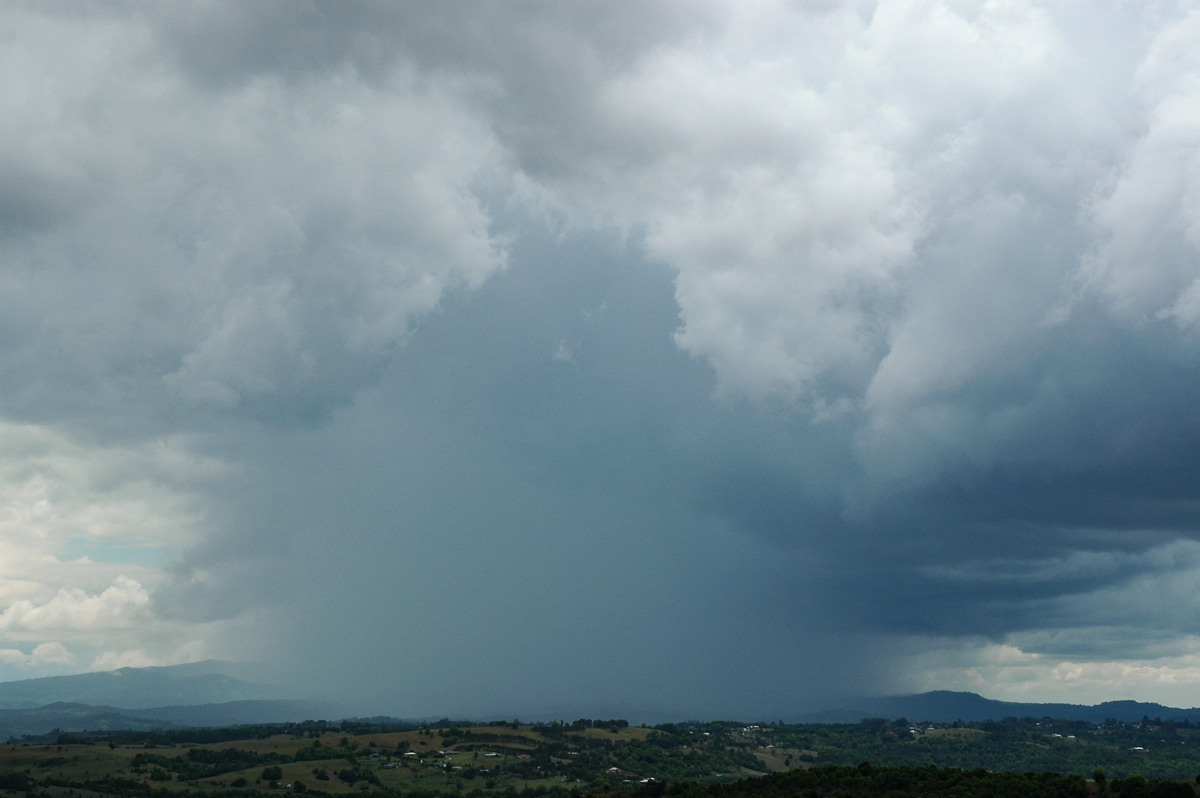 raincascade precipitation_cascade : McLeans Ridges, NSW   21 October 2004