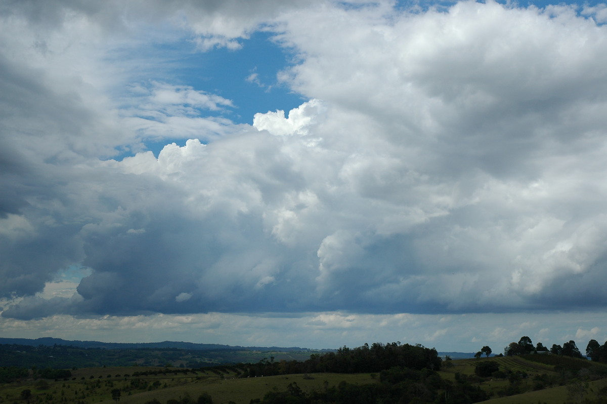 cumulus congestus : McLeans Ridges, NSW   21 October 2004