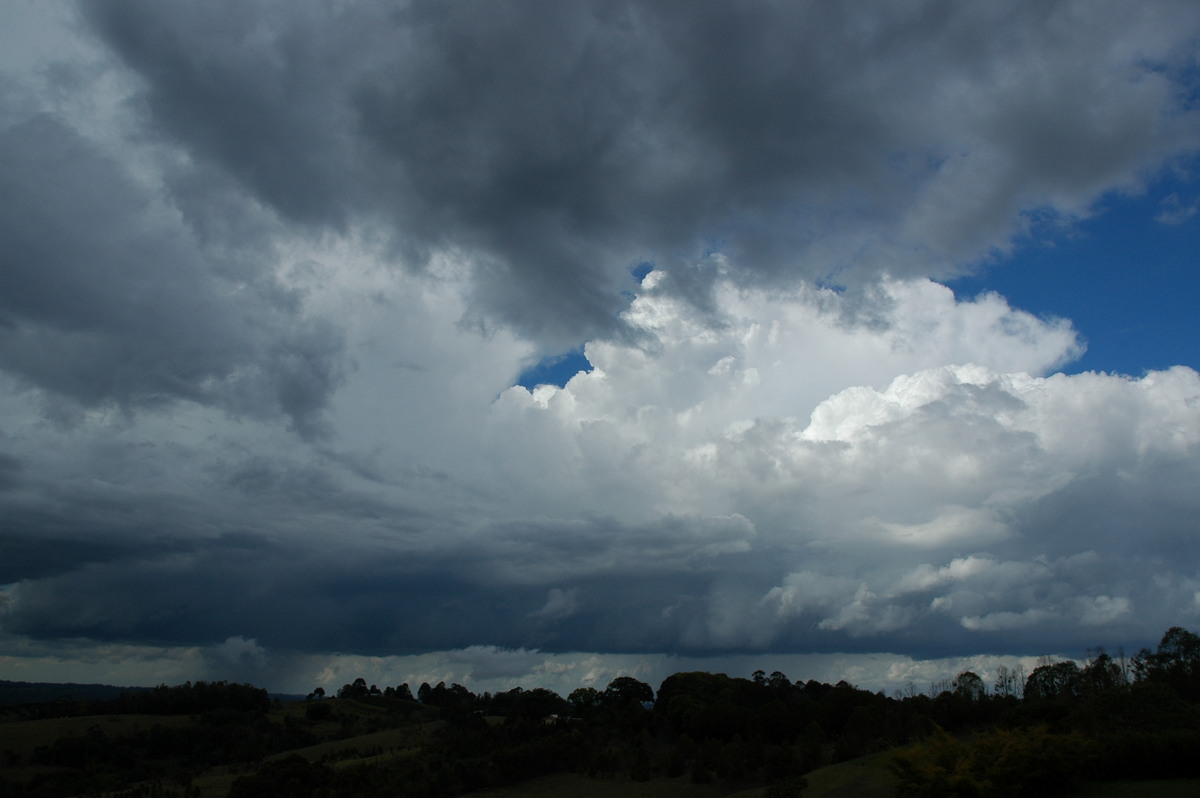 thunderstorm cumulonimbus_calvus : McLeans Ridges, NSW   21 October 2004