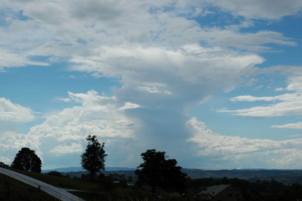 anvil thunderstorm_anvils : McLeans Ridges, NSW   21 October 2004