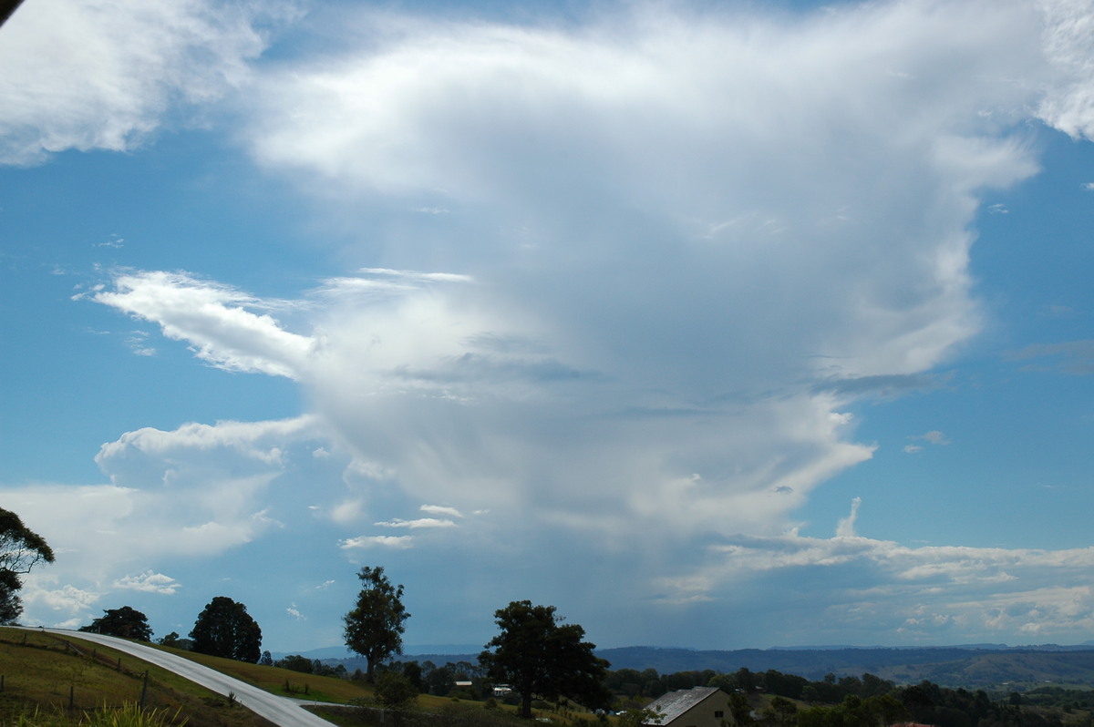 thunderstorm cumulonimbus_incus : McLeans Ridges, NSW   21 October 2004