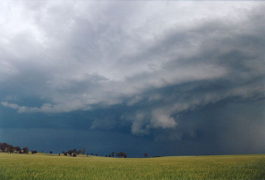 wallcloud thunderstorm_wall_cloud : Gulgong, NSW   24 October 2004