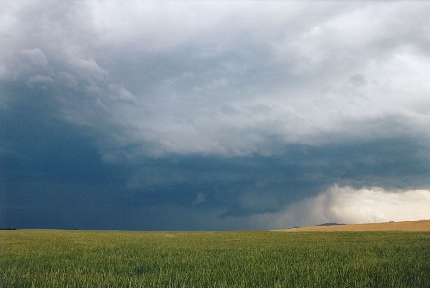 cumulonimbus supercell_thunderstorm : Gulgong, NSW   24 October 2004