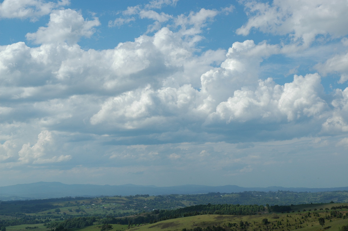 cumulus congestus : McLeans Ridges, NSW   3 November 2004