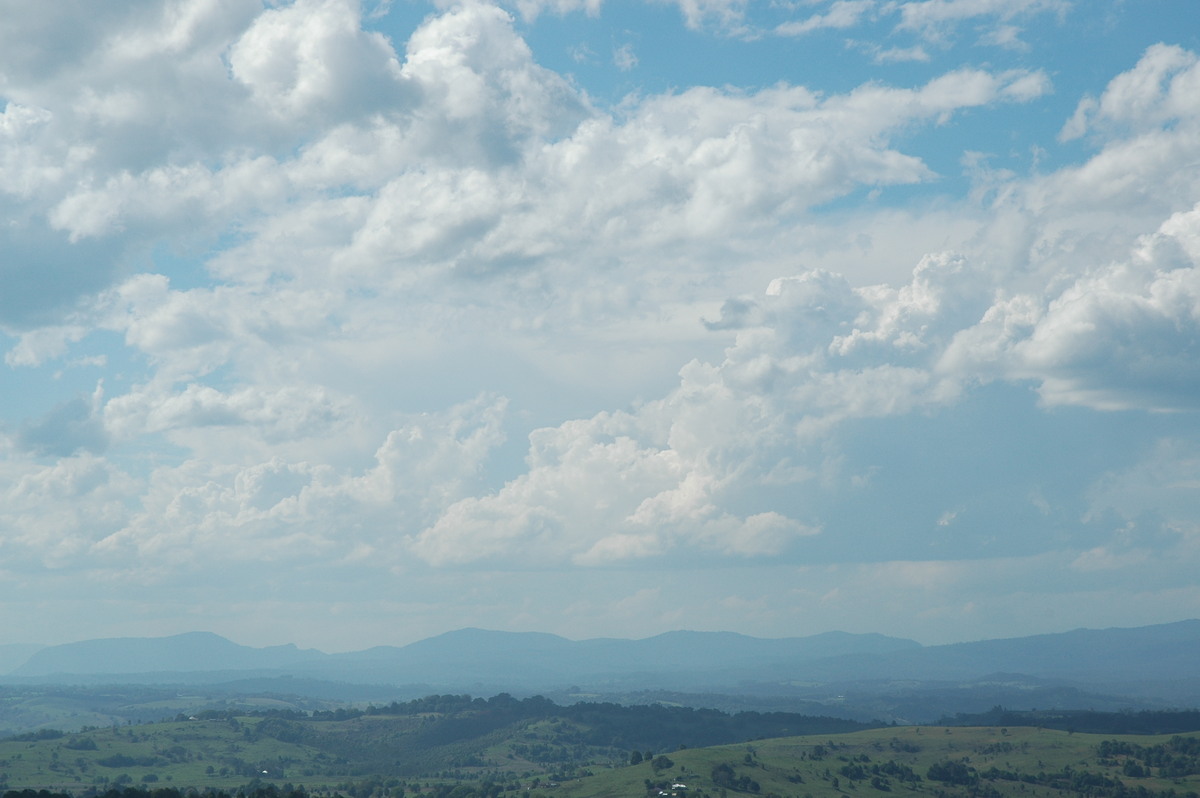 cumulus mediocris : McLeans Ridges, NSW   3 November 2004